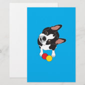 Trooper the Boston Terrier (Front/Back)