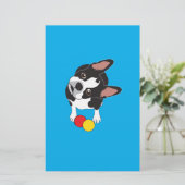 Trooper the Boston Terrier (Standing Front)