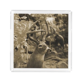 Trophy Deer Acrylic Tray by JTHoward at Zazzle