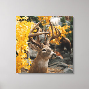 Trophy Deer Canvas Print