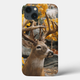 Trophy Deer iPhone 13 Case