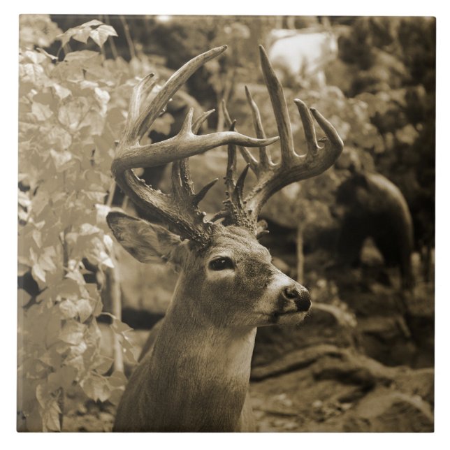 Trophy Deer Ceramic Tile (Front)