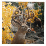 Trophy Deer Ceramic Tile<br><div class="desc">Trophy Deer</div>