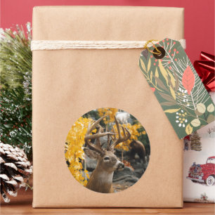 Trophy Deer Classic Round Sticker