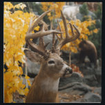 Trophy Deer Cloth Napkin<br><div class="desc">Trophy Deer</div>