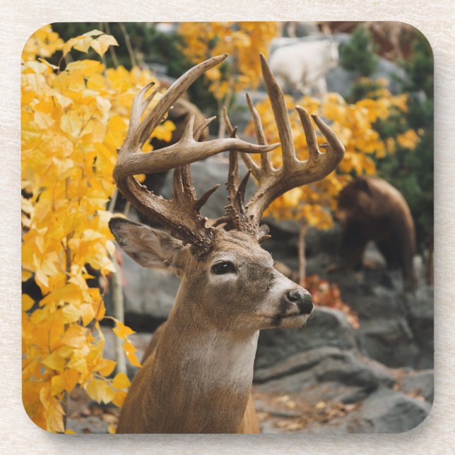 Trophy Deer Drink Coaster (Front)