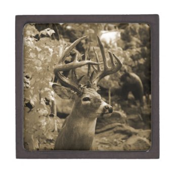 Trophy Deer Gift Box by JTHoward at Zazzle