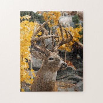 Trophy Deer Jigsaw Puzzle by JTHoward at Zazzle