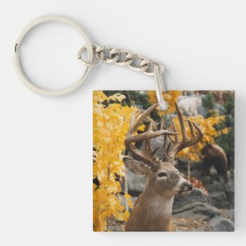 Trophy Deer Keychain by JTHoward at Zazzle