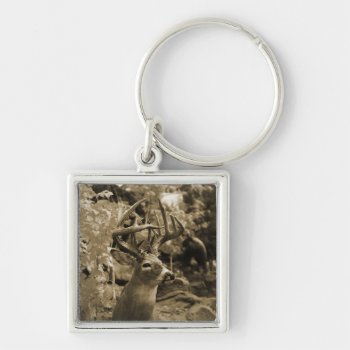 Trophy Deer Keychain by JTHoward at Zazzle