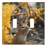 Trophy Deer Light Switch Cover at Zazzle