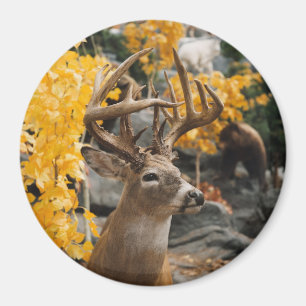 Trophy Deer Magnet