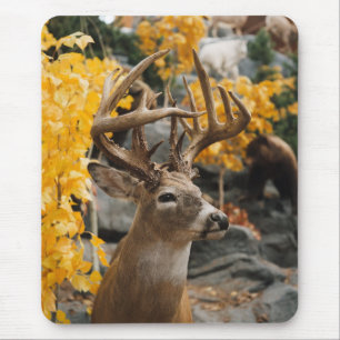 Trophy Deer Mouse Pad