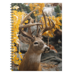Trophy Deer Notebook