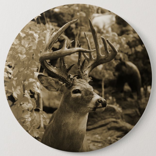 Trophy Deer Pinback Button (Front)