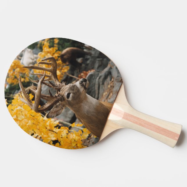 Trophy Deer Ping-Pong Paddle (Side)