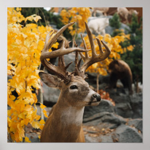 Trophy Deer Poster