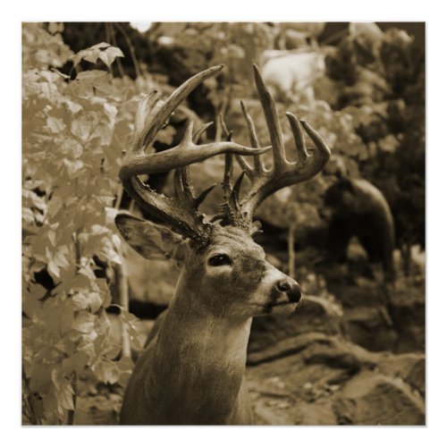 Trophy Deer Poster