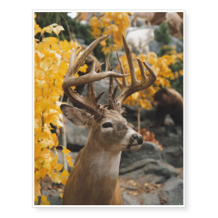 Trophy Deer Temporary Tattoos