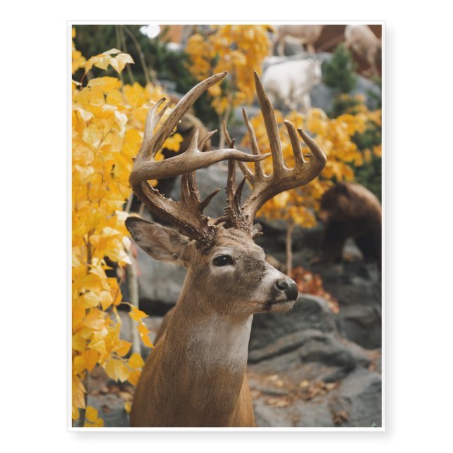 Trophy Deer Temporary Tattoos (Front)