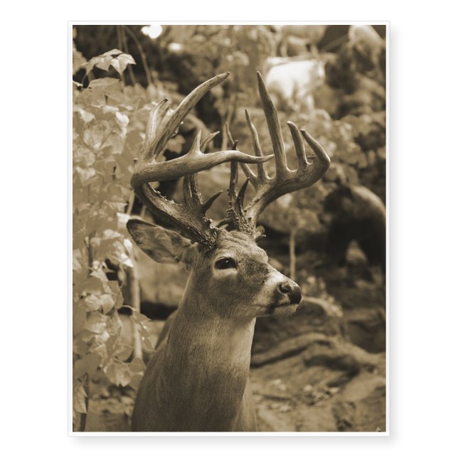 Trophy Deer Temporary Tattoos (Front)