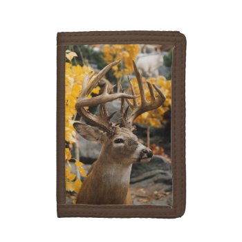 Trophy Deer Tri-fold Wallet by JTHoward at Zazzle