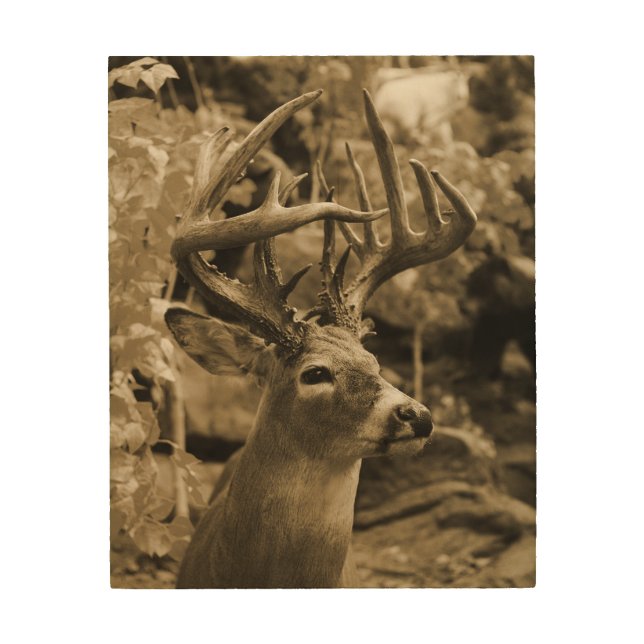 Trophy Deer Wood Wall Decor (Front)