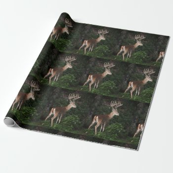 Trophy White Tail Buck In Velvet Wrapping Paper by WackemArt at Zazzle