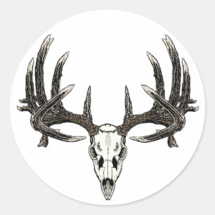 Trophy Whitetail buck Classic Round Sticker