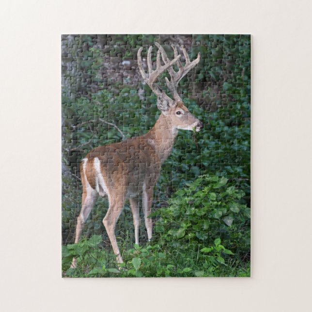 Trophy Whitetail Deer Buck In Velvet Jigsaw Puzzle (Vertical)