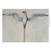 Tropic Bird (Front Horizontal)