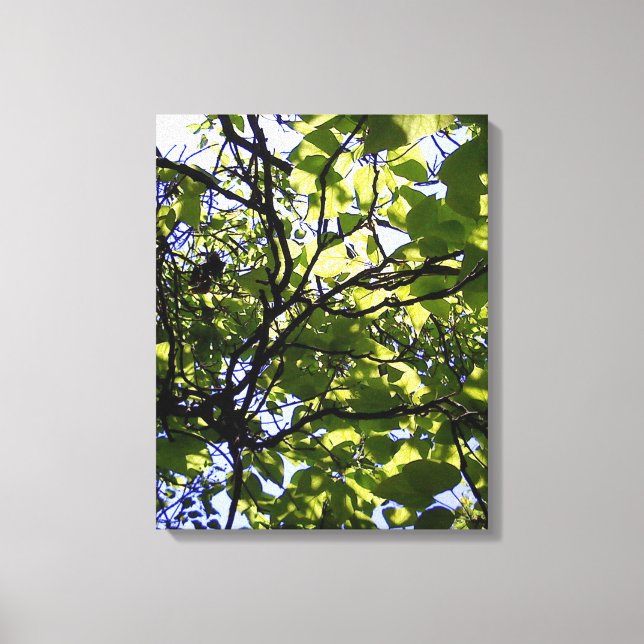 Tropic catalpa tree wild nature canvas print (Front)