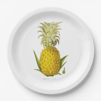 Tropical Accent Pineapple Vintage Illustration Med Paper Plates by riverme at Zazzle