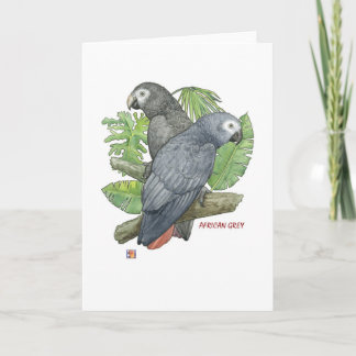 Tropical African Greys Greeting Cards