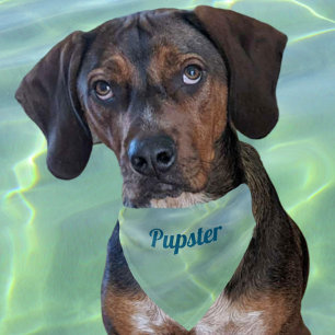 Tropical Aquamarine Water Boho Chic with Name Pet Bandana Collar