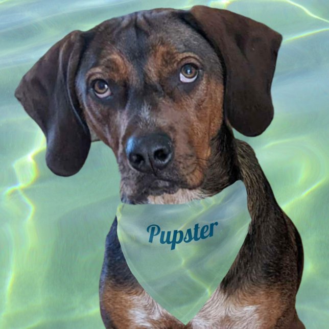 Tropical Aquamarine Water Boho Chic with Name  Pet Bandana Collar (Creator Uploaded)