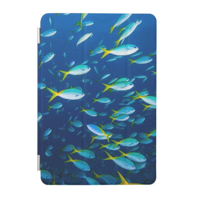 Tropical aquarium fish iPad mini cover (Front)