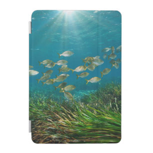 Tropical aquarium fish iPad mini cover