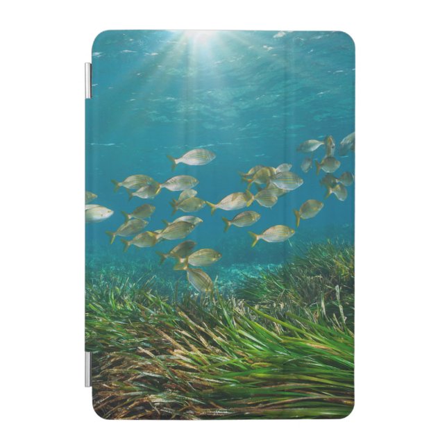Tropical aquarium fish iPad mini cover (Front)