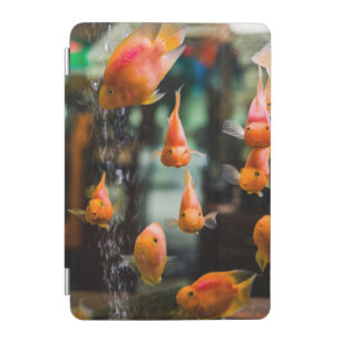 Tropical aquarium fish iPad mini cover