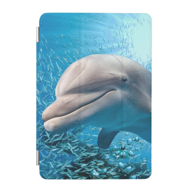 Tropical aquarium fish iPad mini cover (Front)