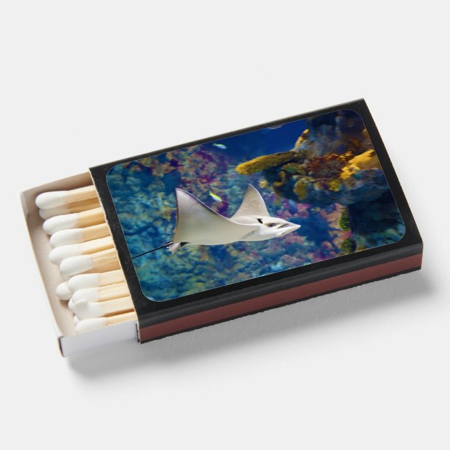 Tropical aquarium fish matchboxes (Front Open)
