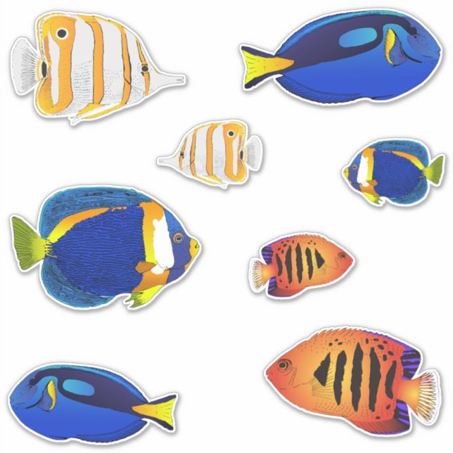 Tropical Aquarium Reef Fish Illustrations Sticker (Front)