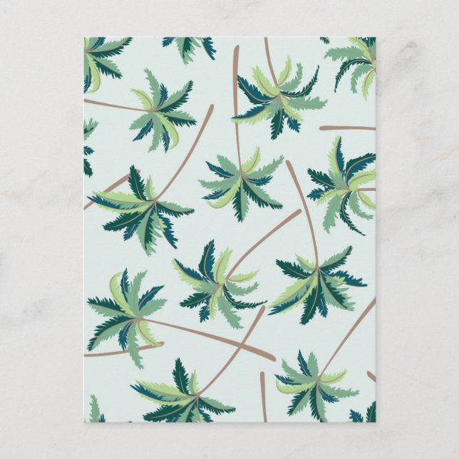 Tropical Australian Foxtail Palm Postcard (Front)