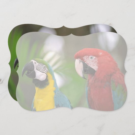 tropical background (Front/Back)