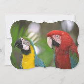 tropical background (Back)