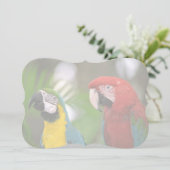 tropical background (Standing Front)