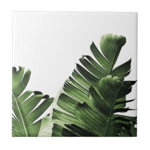Tropical Banana Leaf Ceramic Tile