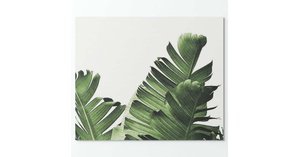 Tropical Banana Leaf Wrapping Paper | Zazzle.com