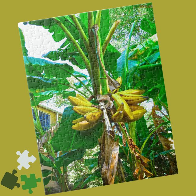 Tropical Banana Palm Tree St Augustine Florida Jigsaw Puzzle (Creator Uploaded)